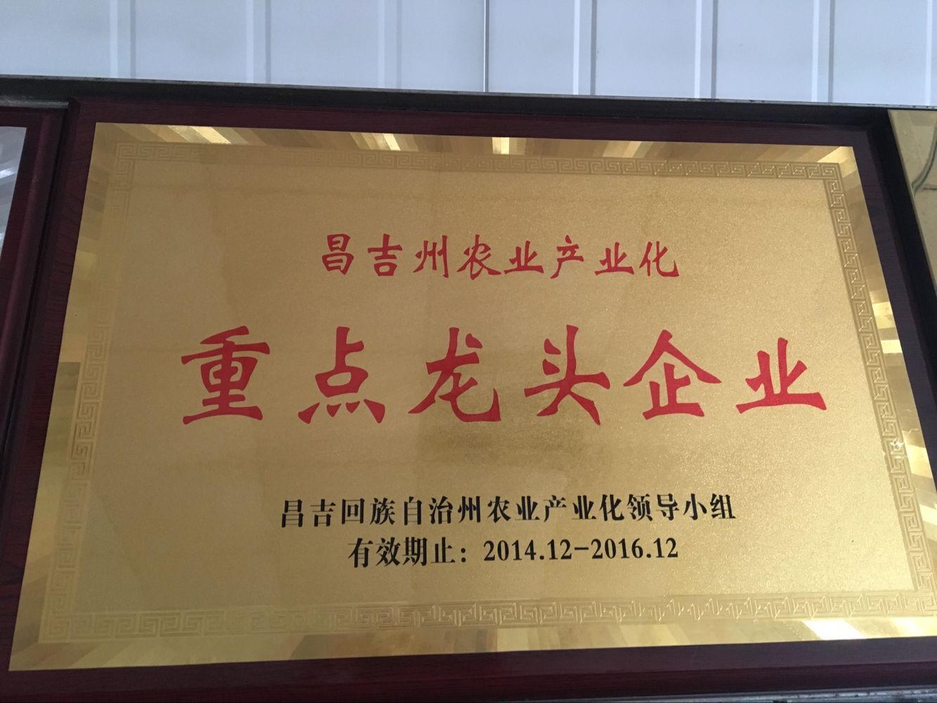 �ص���ͷ��ҵ